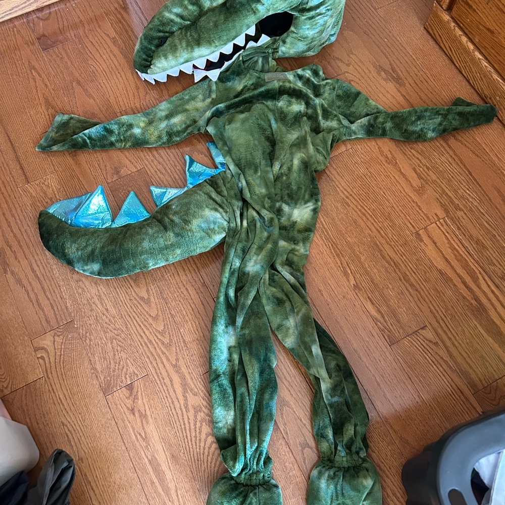 Pottery Barn Dinosaur Kids Costume